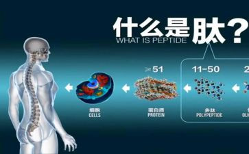 下雪作文800字6篇