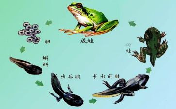 1000字助学金申请书模板5篇