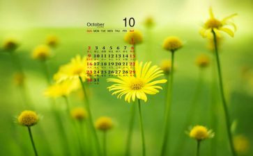 大班10月份的工作计划7篇