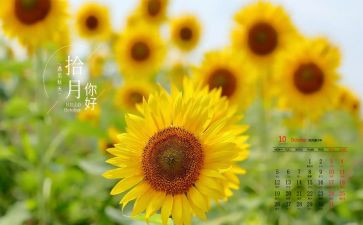 销售类10月工作总结7篇