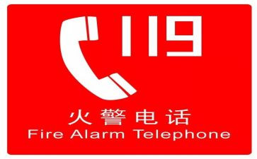 小学119宣传总结推荐6篇
