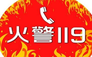 公司119工作总结优质5篇