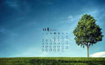 12月幼儿园教师工作总结6篇