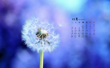 幼儿园教师12月份工作总结8篇