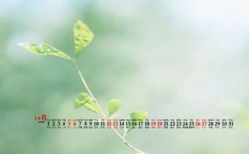 2023健康教育心得体会最新5篇