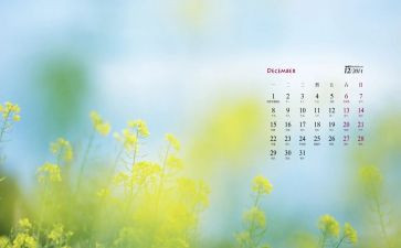 12月底销售工作总结5篇