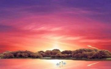 2023教师节活动方案策划参考8篇
