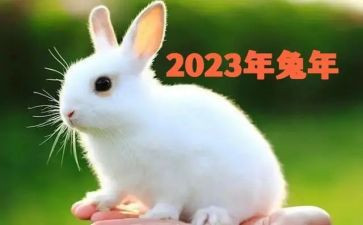 2023年秋季学校教研工作计划6篇