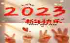 2023青年教师培训心得体会7篇
