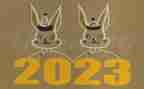 2023至2023学年班主任工作总结精选5篇
