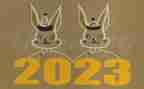 2023年护士工作年度总结参考5篇