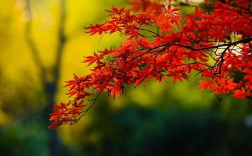 2023年节能科工作计划7篇
