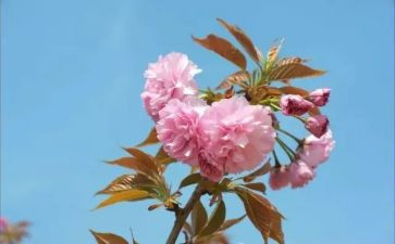 幼儿园教师2月份月总结8篇
