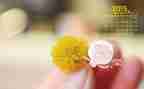 中班2月份工作总结5篇