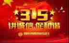 315的工作总结5篇