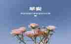 策划公司工作计划范文6篇