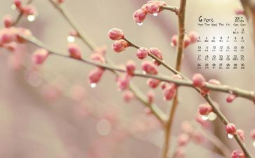 4月份的总结报告5篇