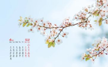 4月的工作总结模板5篇