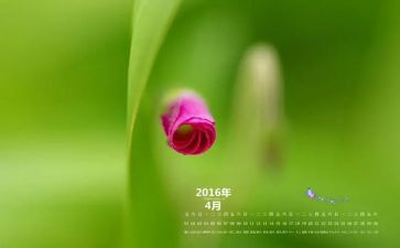 4月安全工作计划6篇