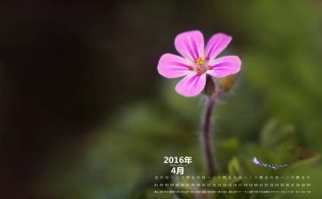 4月销售工作计划6篇