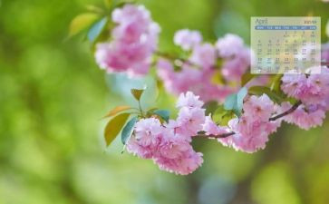 小班4月份工作总结5篇