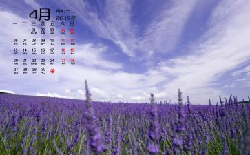 4月小班月工作计划5篇