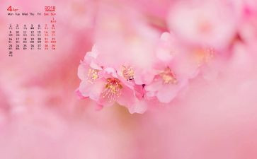 销售4月份工作计划8篇