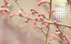 4月份的总结报告5篇