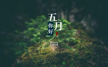 教师5月工作总结范文8篇