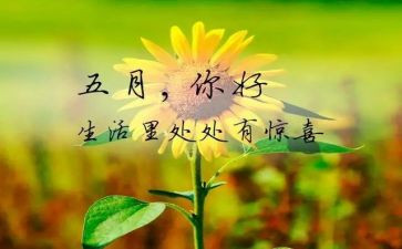 小班5月份的工作总结5篇