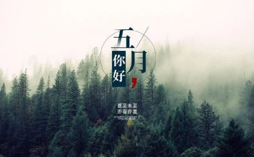 销售5月工作总结范文8篇