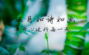 5月个人工作计划6篇