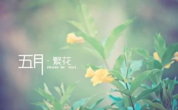 5月份幼儿教师总结7篇
