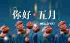 幼儿园园长5月份工作总结8篇