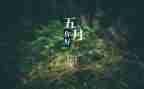 5月安全生产工作计划5篇