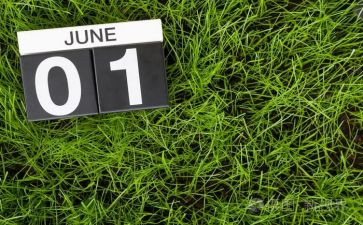 6月份活动方案8篇