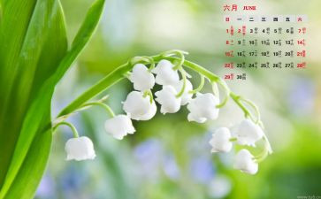 幼儿园6月小班教师总结5篇