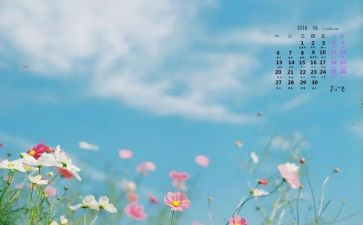 小班6月工作计划6篇