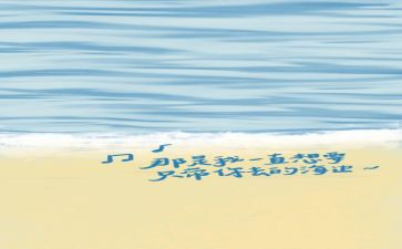 8月15活动方案5篇