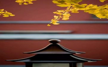 8月销售工作计划6篇