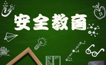 911观后感100字最新6篇