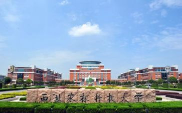 985大学学生工作总结最新8篇
