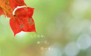 2023个人述职报告最新优秀8篇