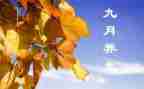 幼儿园中班月计划9月6篇