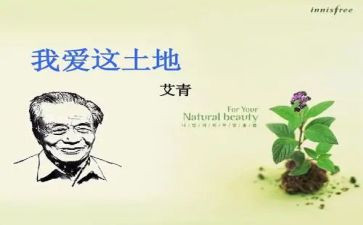 艾青的树的读后感7篇