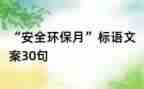 与苏轼对话作文6篇