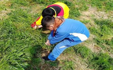 专家讲座教育及心得体会7篇