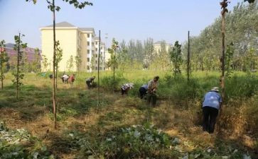 中学心理健康工作总结6篇