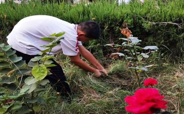 2023年教师暑期学习培训心得参考8篇