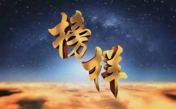 党学榜样做榜样心得体会模板5篇